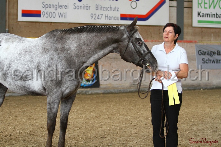 24-ApHC HIH_062.jpg